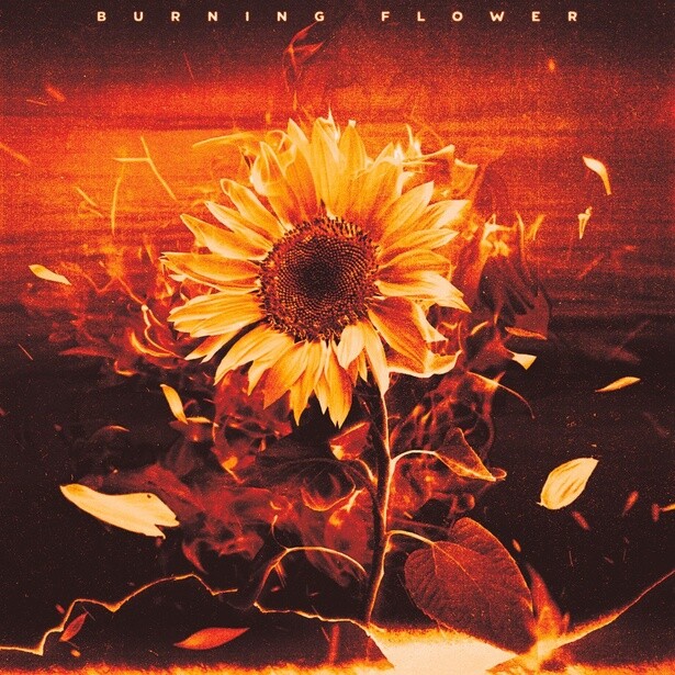 新曲「Burning Flower」のジャケットは向日葵がモチーフに