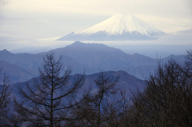 扇山から見た富士山の画像