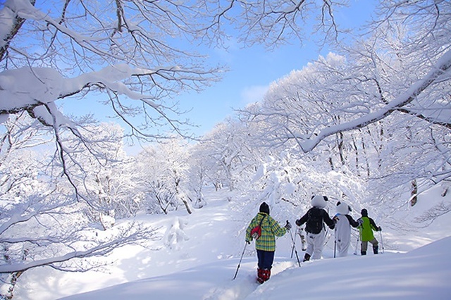 大山スノーシューの世界