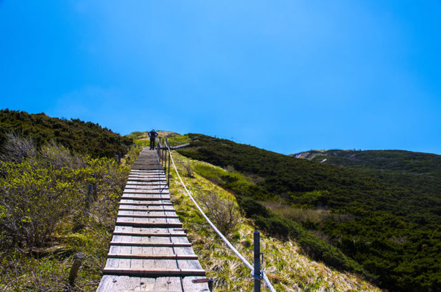 大山の木道