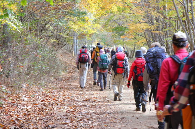 登山ツアーに参加して登山に行く人々