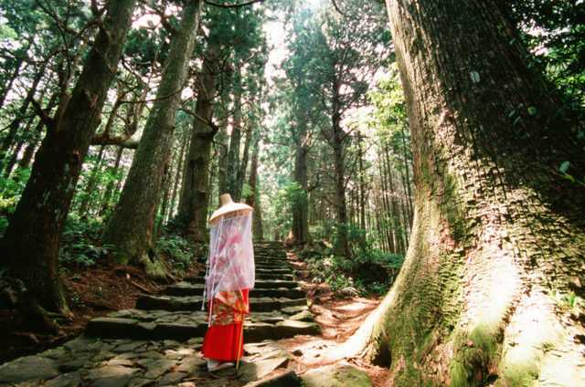 屋久島
