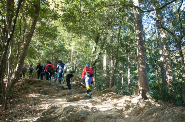 登山を楽しむ登山者