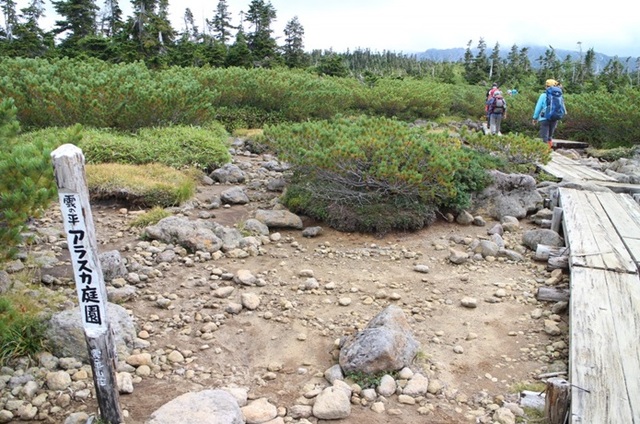 アラスカ庭園