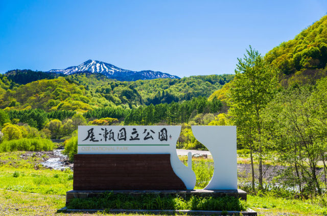 尾瀬国立公園