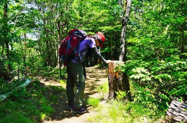 登山 熱中症