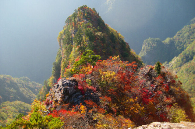 大台ヶ原山の大蛇嵓紅葉