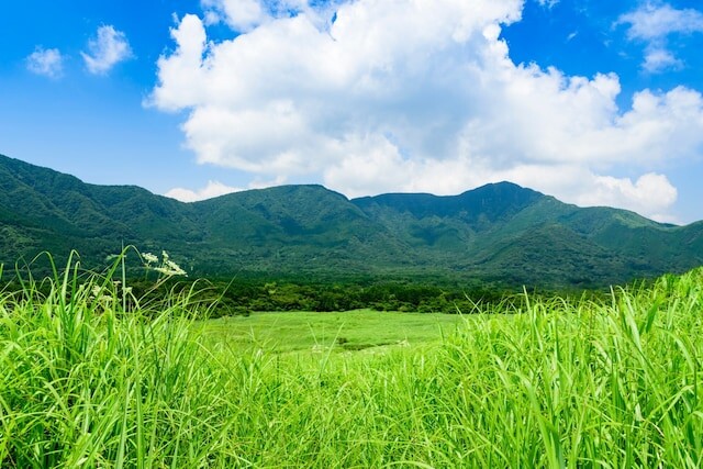 「健康なうちに元同僚たちと箱根を満喫」66歳男性のシニア旅行、かかった費用は約2万3000円