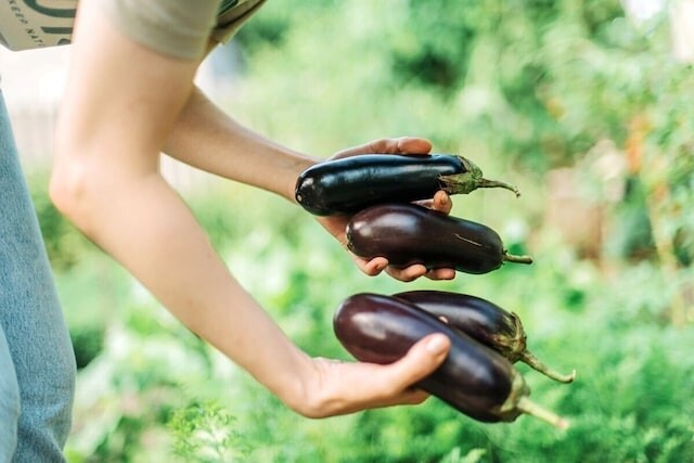 お金に愛される人が選ぶ“趣味”って何？お金の使い方にも影響がある!?