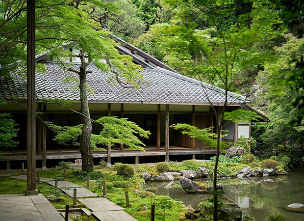 そうだ 京都、行こう。青紅葉が美しい夏の京都で“癒し”をめぐるおすすめ旅ルート