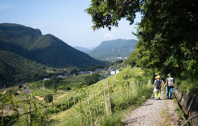 行楽シーズンの小豆島を歩いて楽しむ。「山岳霊場」と「遍路道」を巡ってみよう