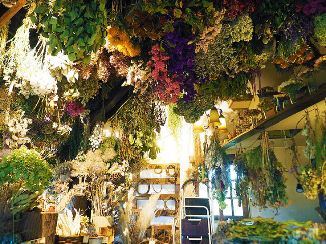 まるでドライフラワーの森！幻想的な空間で草花の自然美に包まれる、ドライフラワー専門店「ダーワ」