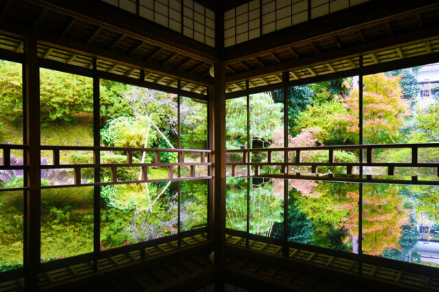 和倉温泉の静かな住宅街に佇む「白巖山 青林寺」で、自然と歴史に触れる旅を