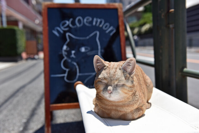 かわいいニャンコスイーツにほっこり♪　“自分だけの招き猫”も作れる谷中の「カフェ猫衛門」