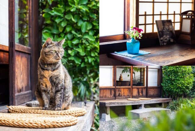 看板猫がお出迎え♪ 京町家が連なる町にたたずむ「河井寛次郎記念館」で暮らすように過ごす