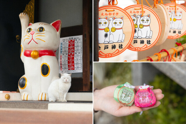 白猫に会うと幸せが訪れる！？ 招き猫発祥のひとつ、浅草「今戸神社」で良縁祈願