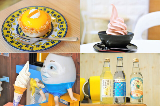塩バニラのソフトクリームが人気のカフェで過ごす湘南のティータイム♪江ノ島「塩カフェ」