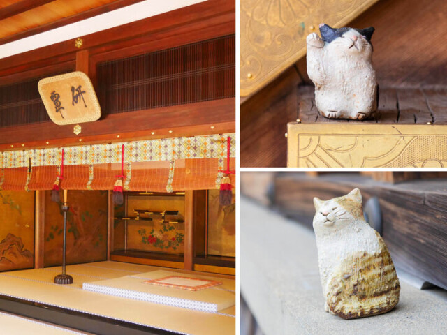 京都・聖護院門跡の特別公開♪ 優雅な宮御殿とかわいい猫のいるお庭