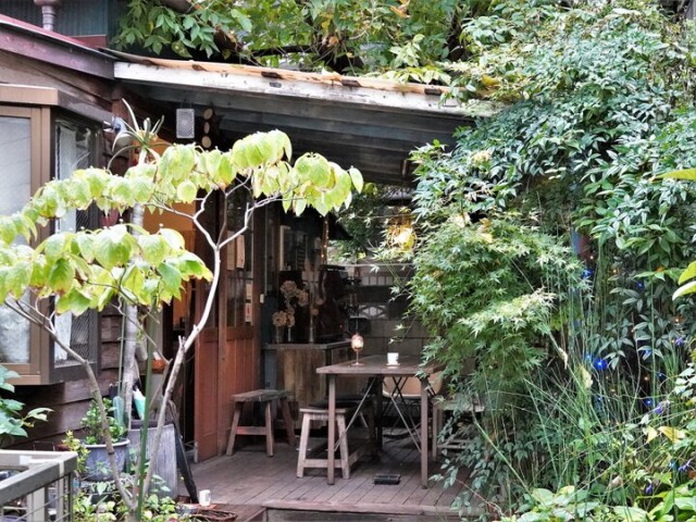 屋根の上まで伸びた緑に囲まれる隠れ家カフェ♪武蔵小杉「HanaCAFE nappa69」