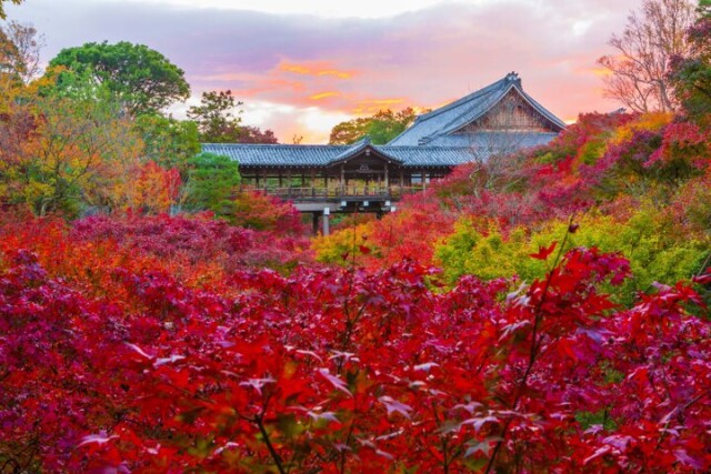 【京都・東山の紅葉さんぽ】絶景と庭園をめぐって東福寺から泉涌寺へ♪