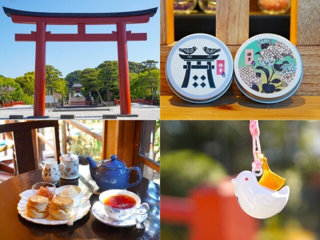 新春の鎌倉さんぽ♪鶴岡八幡宮へのお参りとランチやカフェ、お土産屋さんを巡る一日
