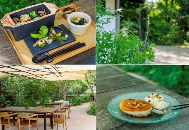 京都・大原の里のリバーサイドカフェ「somushi ohara」で、オーガニックのランチやスイーツを