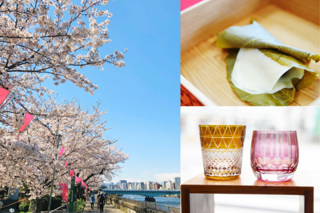 江戸時代から続く桜を愛でながら♪ 隅田川沿いから両国へ、墨田エリア満喫さんぽ