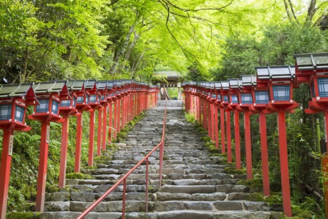 京都・洛北の青もみじプチトリップ、叡山電車に乗って「下鴨神社」から京の奥座敷「貴船」へ♪