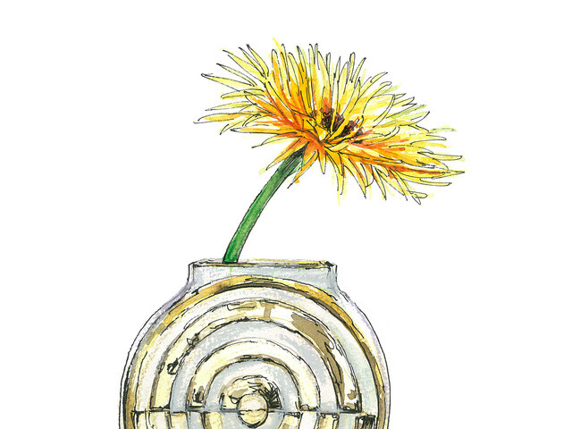 【4月18日の花】スターダスト  ガーベラ記念日には大輪の品種を