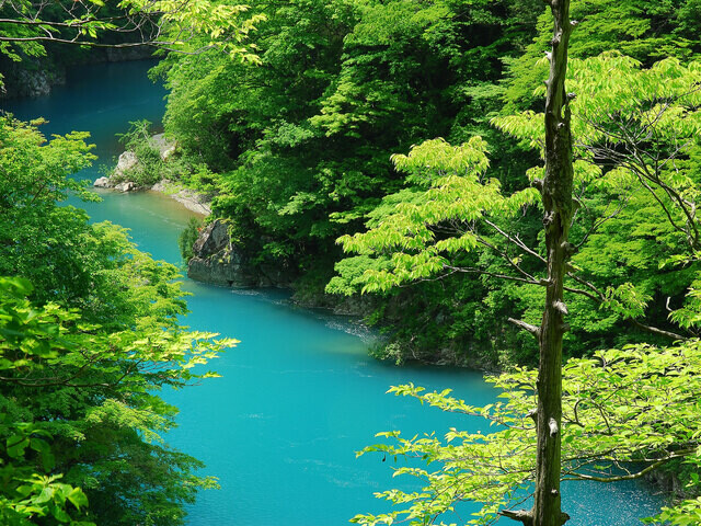 【秋田県 2024年版】 春の絶景・風物詩10選 新緑の「抱返り渓谷」は春こそ美しい