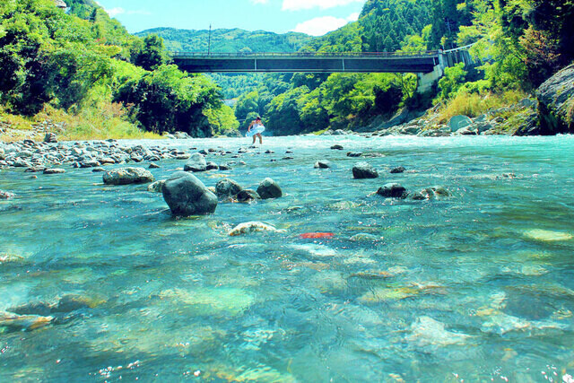【徳島県 2024年版】  夏の絶景・風物詩10選「穴吹川」 エメラルドグリーンに輝く美しき清流