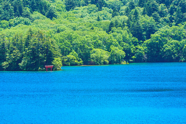 【長野県 2024年版】  夏の絶景・風物詩10選「大沼池」 群青の湖面に浮かぶ赤い鳥居が印象的