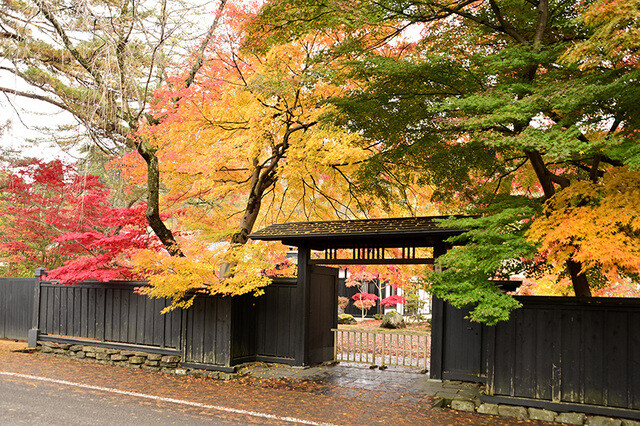 【秋田県・2024年版】 秋の絶景・風物詩10選 風情あふれる 「みちのくの小京都」角館の紅葉