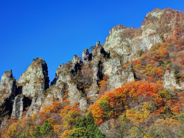 【群馬県 2024年版】  秋の絶景・風物詩10選 妙義山の紅葉  上毛かるたでも称賛される紅葉の名所