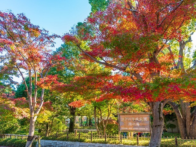 【東京都 2024年版】  秋の絶景・風物詩10選 平成庭園 秋の散策にぴったりの風雅な庭園