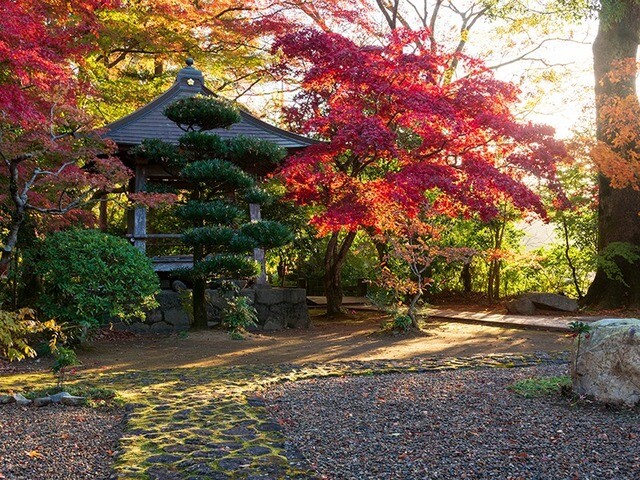 【神奈川県 2024年版】  秋の絶景・風物詩10選 北鎌倉を代表 する円覚寺の紅葉はフォトジェニック