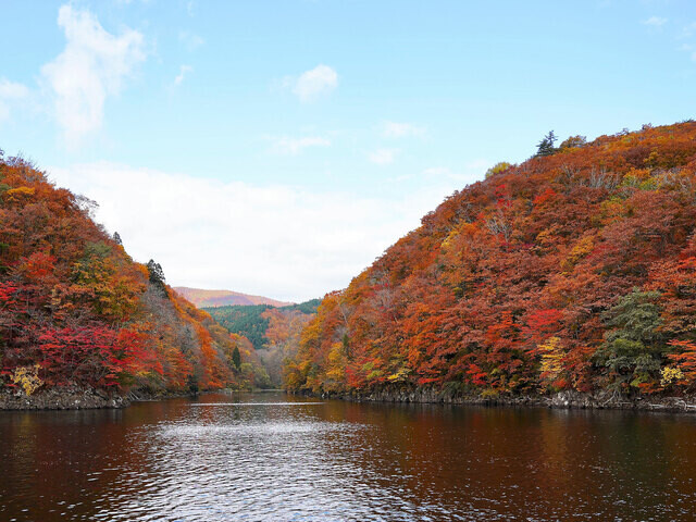 【2024年版】  今こそ行きたい！ 日本の秋の絶景  〜北海道・東北篇〜