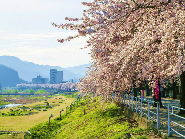 【2025年版】 いつか行きたい！ 日本の春の絶景 〜北海道・東北〜全70スポット！