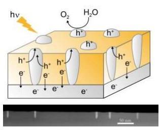 東大など、太陽光による水分解を効率化 「ナノコンポジット結晶」の開発に成功