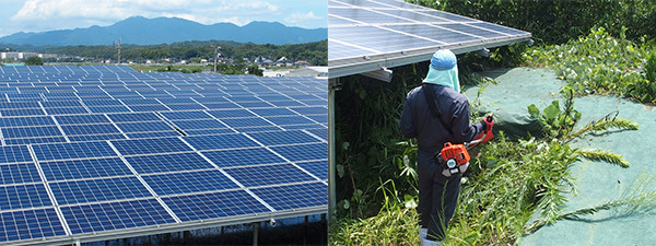 スリーアールエナジー、自社所有太陽光発電所のメンテナンスを実施