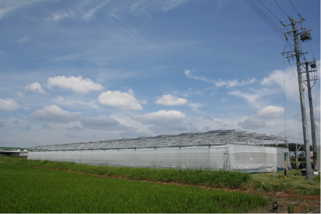 スマートブルー、日本初の「コミュニティ型次世代ICT農業モデル」の運営を開始