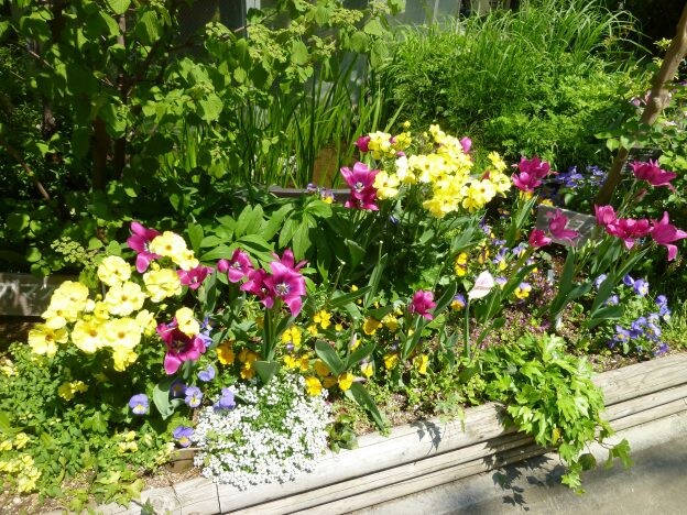 ［冬支度］春花壇に向けて植物を植えるポイント