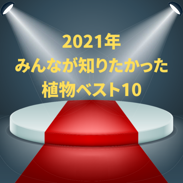 2021年みんなが知りたかった植物ベスト10発表！