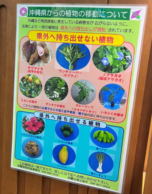 ［植物検疫］沖縄から持ち出せない植物がある！〜知っておきたい沖縄ルール