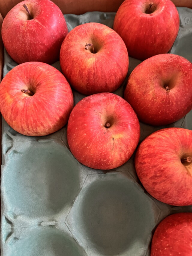 ［りんご］お庭レシピ　番外編　ホワイトデーに作りたい！超かんたん、HOTなリンゴ｜バラ科リンゴ属