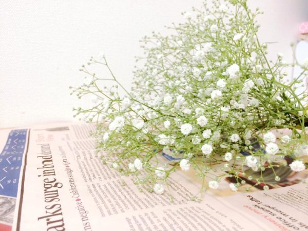 可愛らしい白い花が特徴的 かすみ草の育て方 コラム 緑のgoo