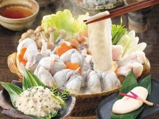 とらふぐを余さず味わう！ お取り寄せで楽しむ、もつ、鴨、猪など人気のご当地鍋セット
