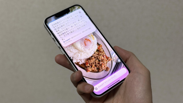 iPhoneかざして「これ何？」を即解決。これぞ、カメラコントロールボタンの本気だ