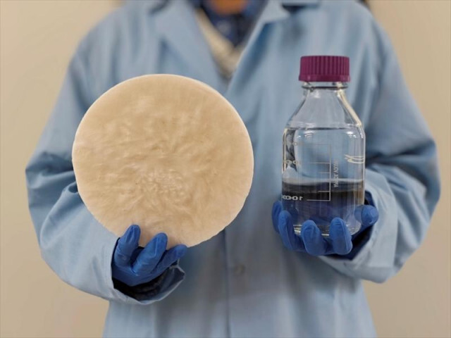 水がない？ 食品廃棄物を使って、空気から安全な飲料水を集められる