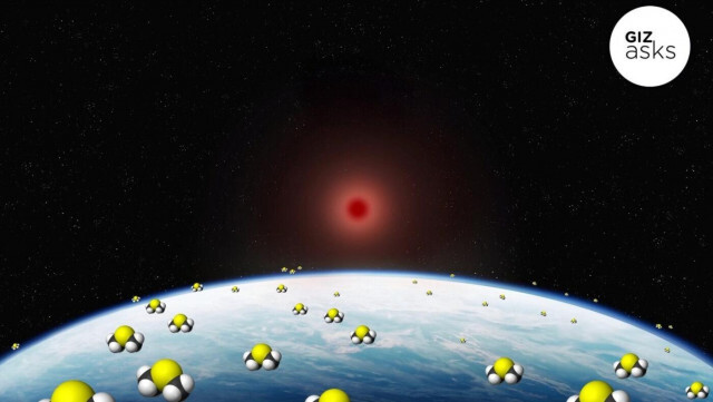 宇宙生命の痕跡が検出された件について、科学者に聞いてみた